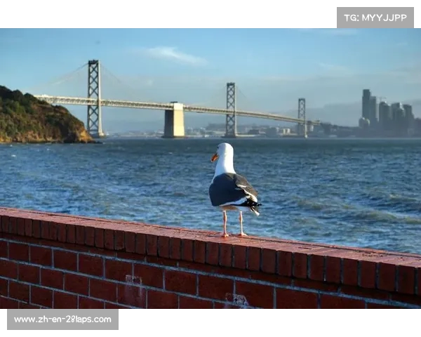 美国首都独家掠影：世俱杯独家报道